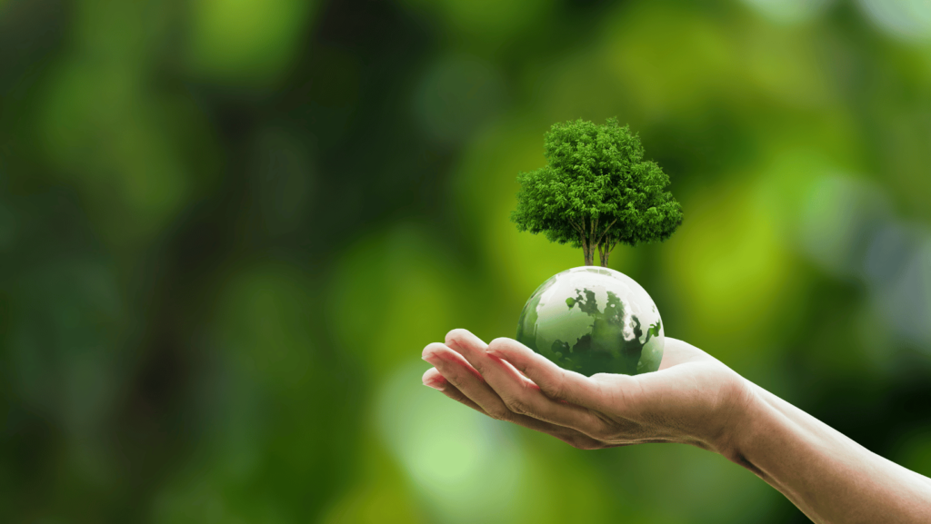 ESG Policy Development: Guiding Responsible Practices for a Sustainable Future