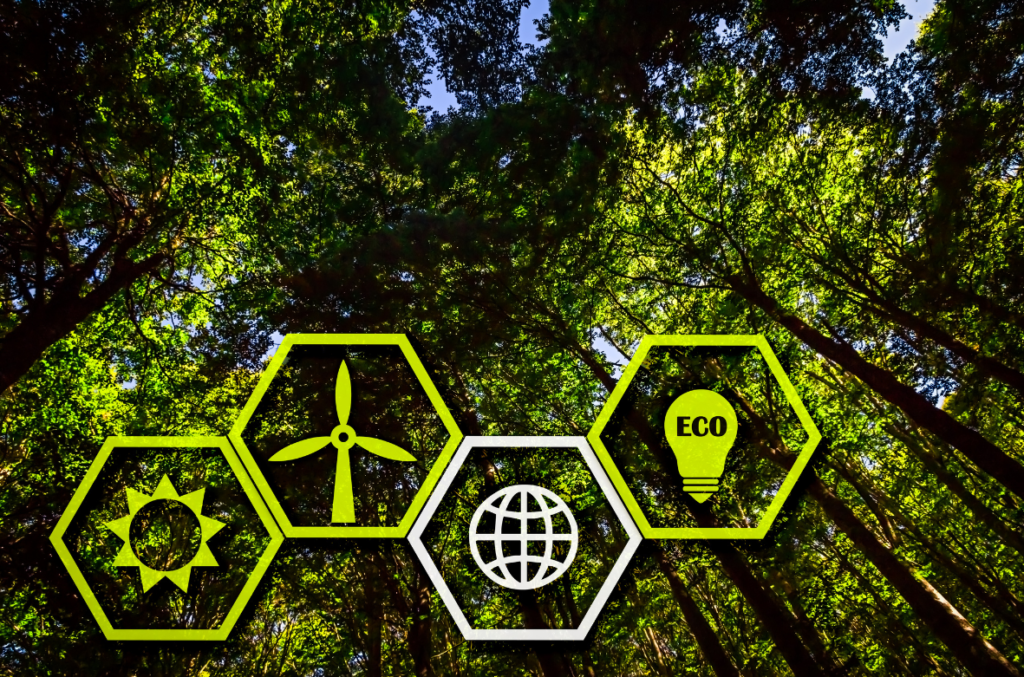 About Us: Navigating a Sustainable Future with ESGWise